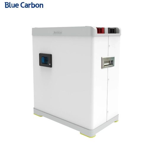 Blue Carbon 5kWH-48V (100Ah) LiFePO4 Floor Type Lithium Battery with screen